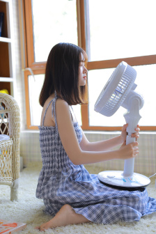 沉香如屑手机